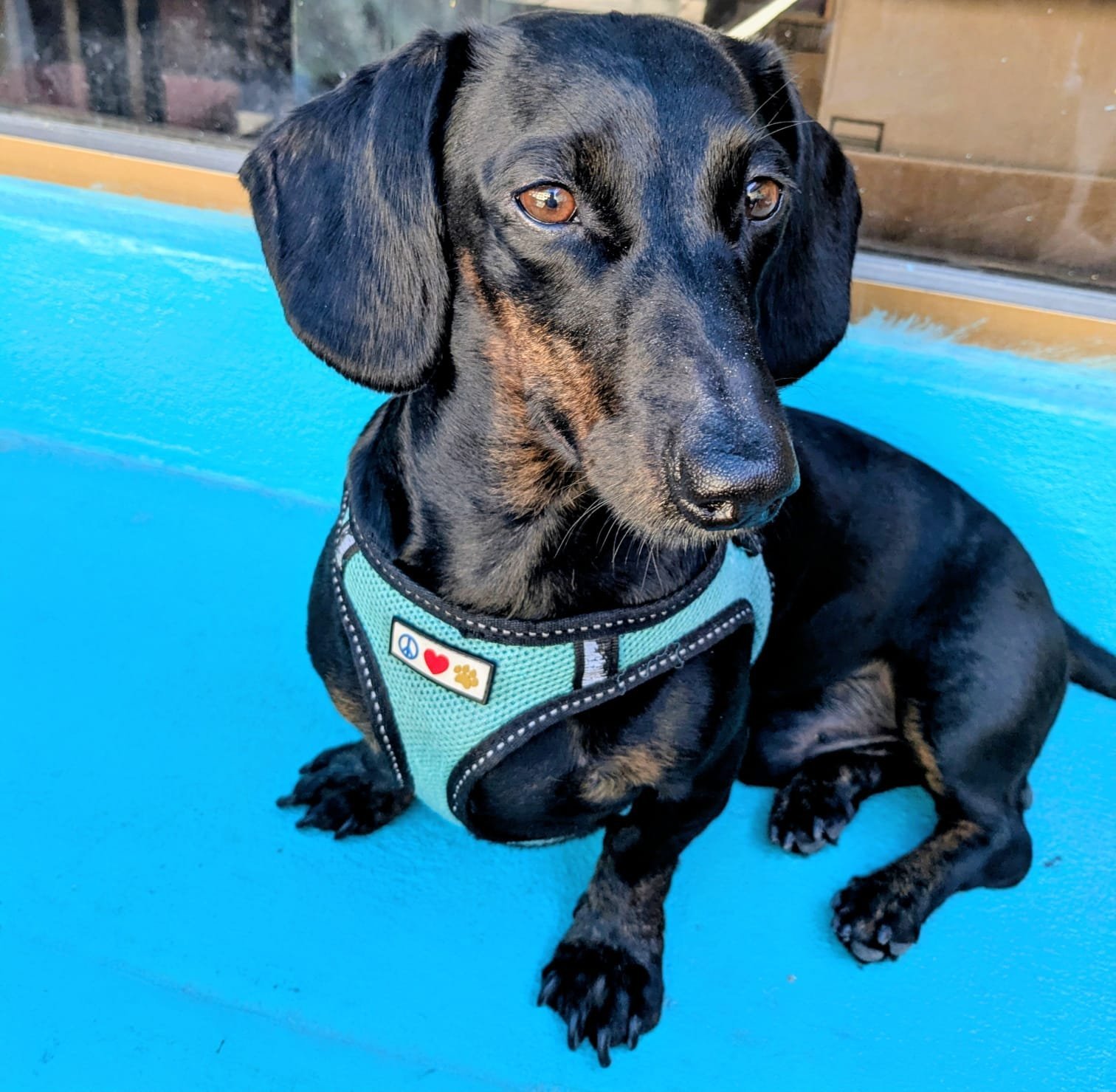Louie B. — Mazatlán
