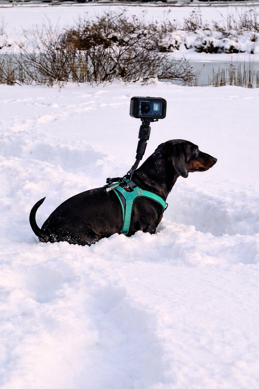 Louie B. Snow Operator